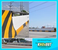 SLEX KNOxOUT Project 